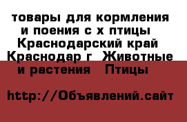 товары для кормления и поения с/х птицы - Краснодарский край, Краснодар г. Животные и растения » Птицы   